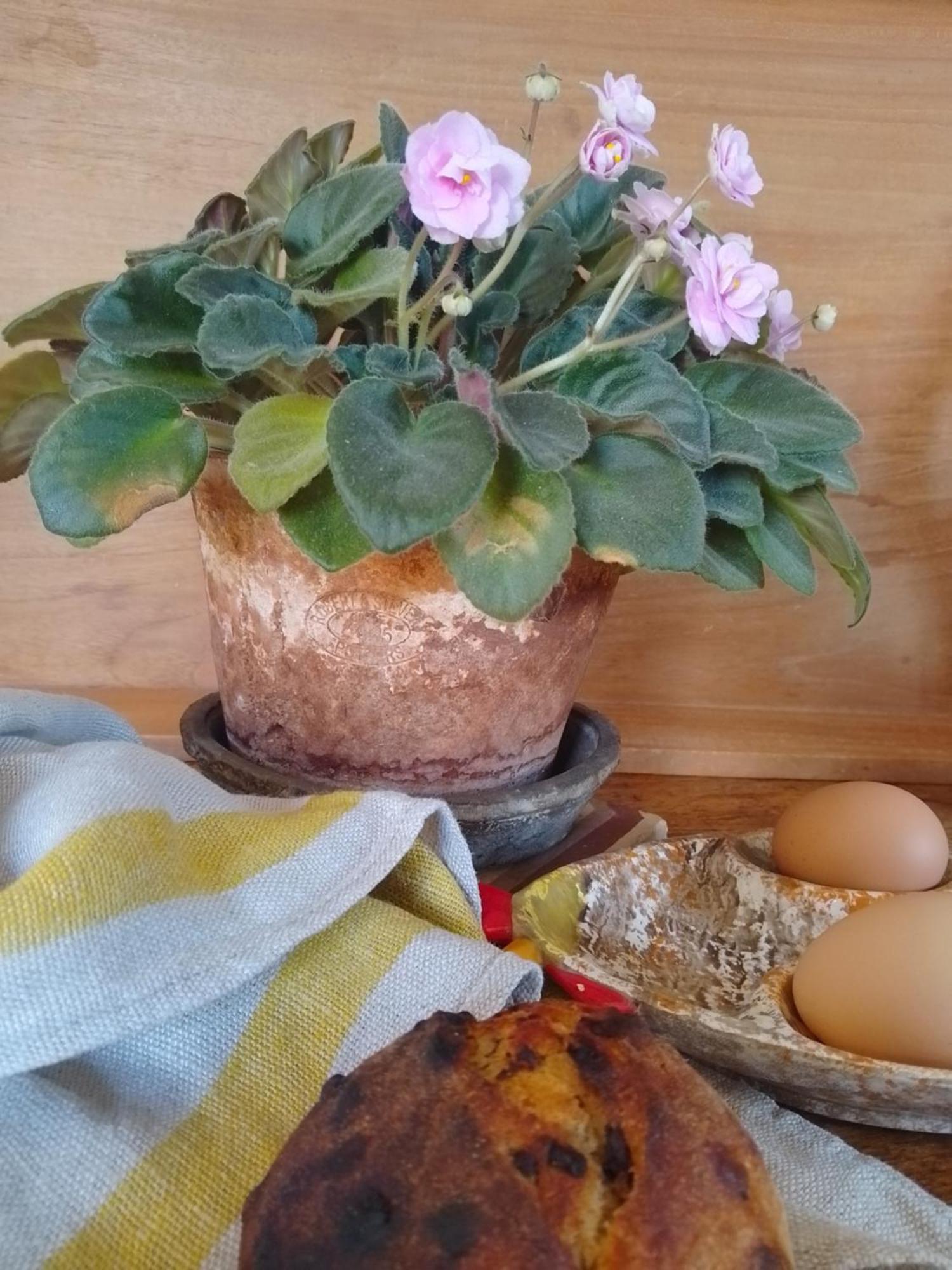 Bed and Breakfast Bastida De Beata Noailles  Zewnętrze zdjęcie